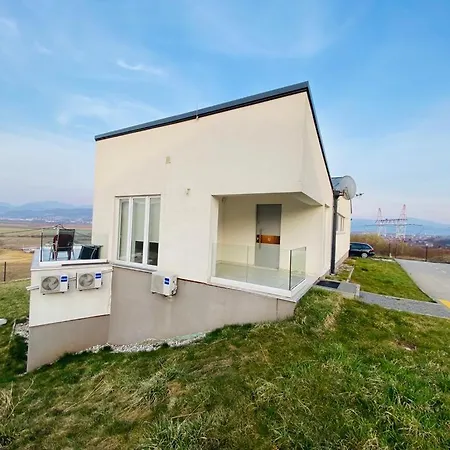 Modern In Paradise